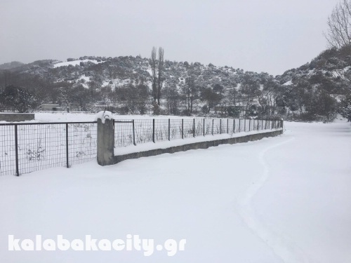 diava 15966954 1288540317856281 963341737 o