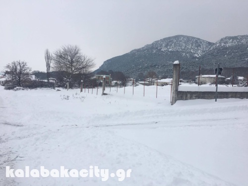 diava 15966978 1288560037854309 1568637117 o