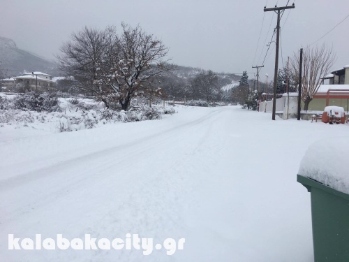 diava 15967155 1288521461191500 603409415 o