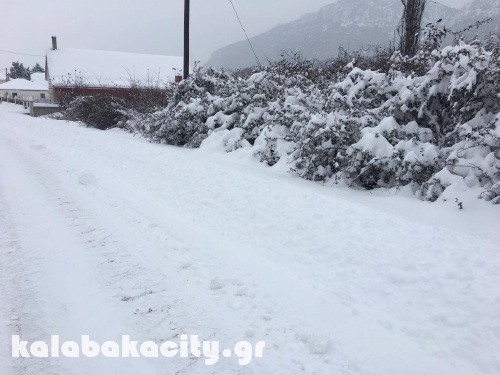 diava 15967385 1288521247858188 82796344 o