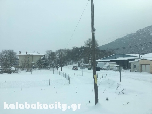 diava 15967611 1288540204522959 1252789454 o