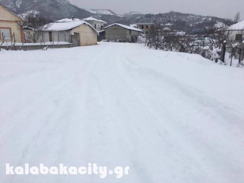 diava 15967756 1288541094522870 613316237 o