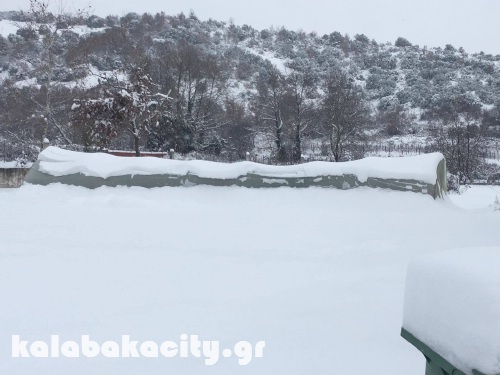 diava 15991365 1288521417858171 633643490 o