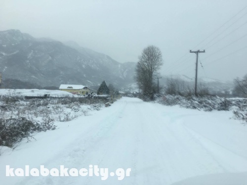 diava 15991635 1288540284522951 1197056936 o