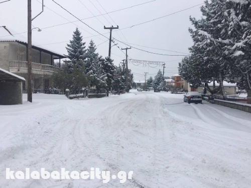 diava 15991672 1288540127856300 1277626112 o