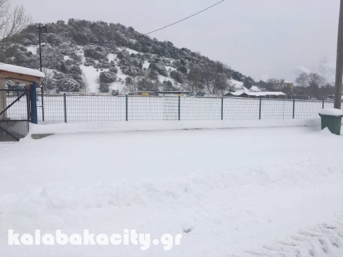 diava 15991929 1288540134522966 1374321279 o