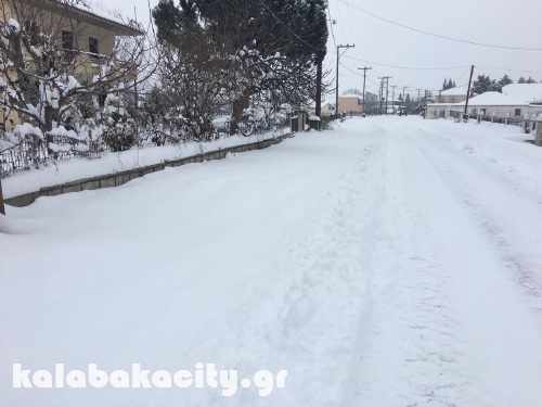 diava 15992052 1288521197858193 1247542368 o