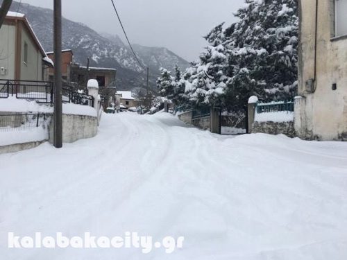 diava 15995690 1288561114520868 2061679003 n