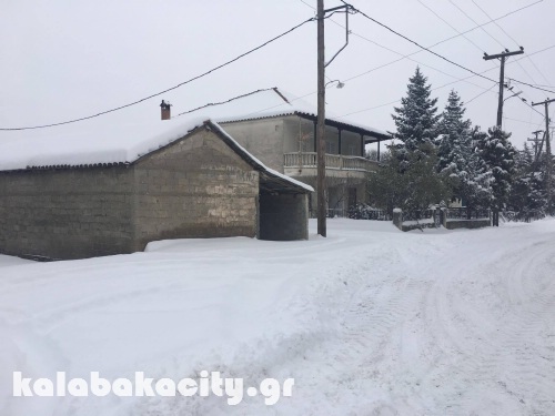 diava 16009996 1288539927856320 1010112886 o