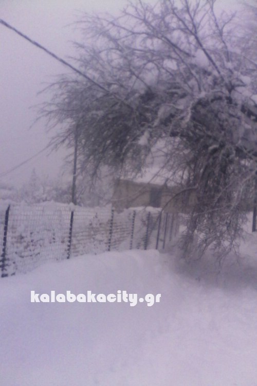 glykomilia revma16122269 712742805552147 33322459 o