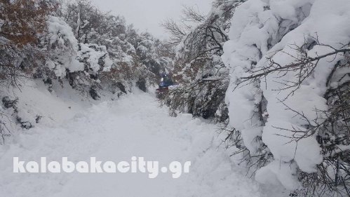 koromilia xioni 201716229827 1299485420095104 2086463889 o