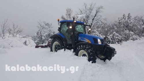 koromilia xioni 201716231108 1299485476761765 1157484185 o