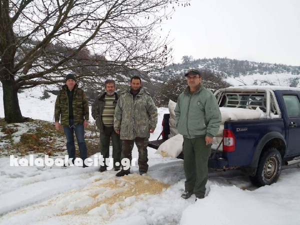 kynigetikos 16129334 1856835871220832 1531300415 o