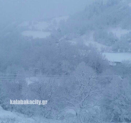 received 228179784257856 wm