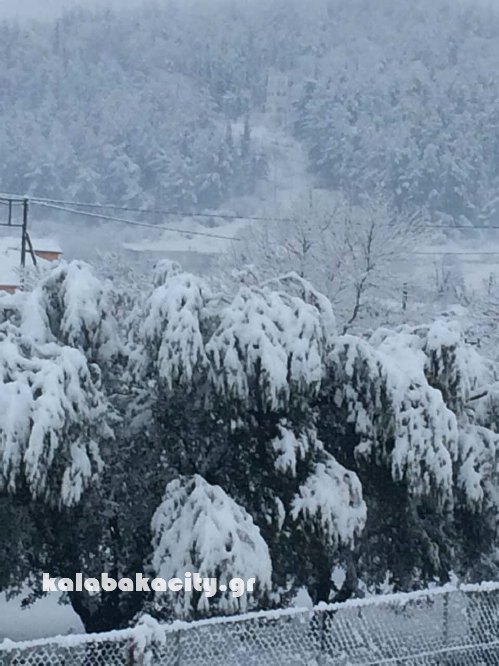 vasiliki image-0-02-05-3e21971d7e4b4ebfecdd2213d855b886bea794f95b8846bbaf5d7b70a9156dac-V