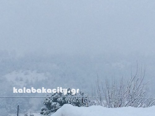 vasiliki image-0-02-05-5e377d9b76d21889e1c799c929eb9281b613e6f8a400cac8dffe31bed63b3352-V