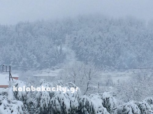 vasiliki image-0-02-05-93aeff05e80227f6377f7e2aa989c6d384d7a9ac8e776dcddad225d552549be7-V