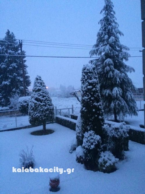 vasiliki image-0-02-05-dc5e0bed0646babcaa3a4cd005232eb13e1383fe058d5ed6d2a795643339abf4-V