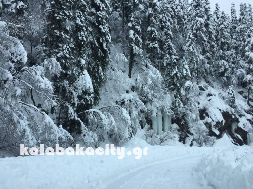 xioni 16122244 1370001763041630 1836240080 o