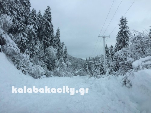 xioni 16129691 1370001773041629 1608407562 o