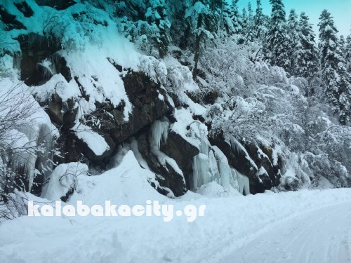 xioni 16129784 1370001736374966 1315058700 o