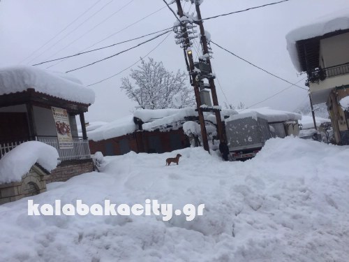 xioni 16130023 1369864003055406 519612229 o