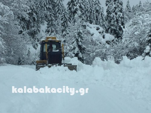 xioni 16145064 1369888843052922 1187520005 o