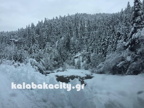 xioni 16145677 1370001719708301 895479591 o