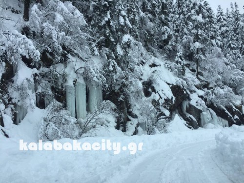 xioni 16145849 1370001749708298 542483919 o