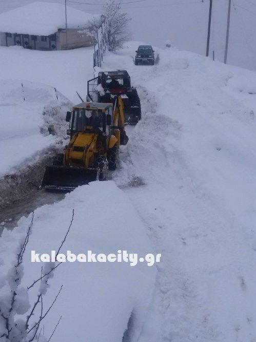 xrysomhlia kal 16145662 229522414123593 760310607 o