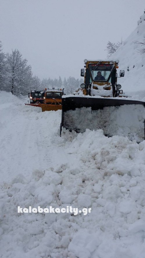 xrysomhlia kal 16145761 1059859910792660 1632679425 o