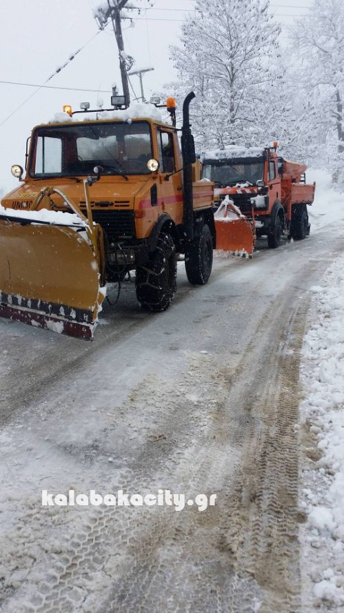 xrysomhlia kal 16196974 1059860034125981 643031791 o