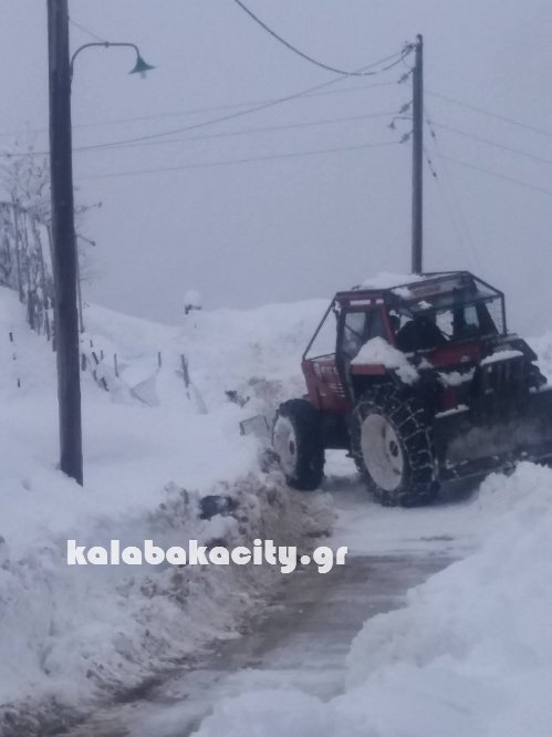 xrysomhlia kal 16197089 229522534123581 320479642 o