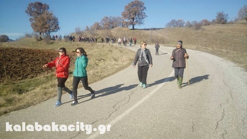 yf 15781697 1192193517483032 2073523663908973301 n