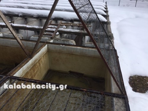 tsimogiannis nik16466534 1384667781575028 177327509 o