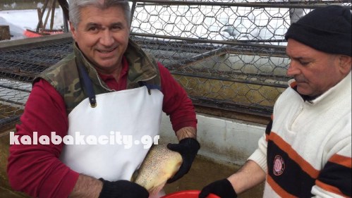 tsimogiannis nik16491502 1384667514908388 107774205 o