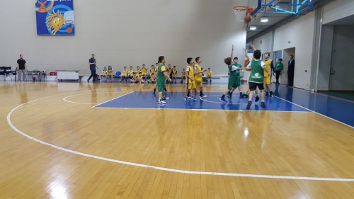 17199056 1416406728430764 1095088896 n