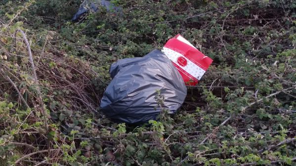 skoup 20170324 182630