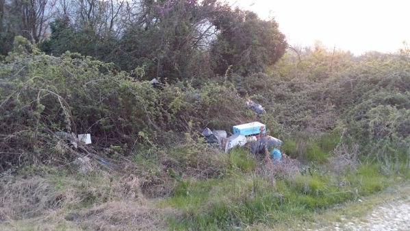 skoup 20170324 182659