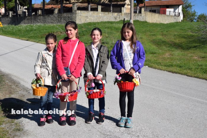 oxyneia lazarines DSC 0103