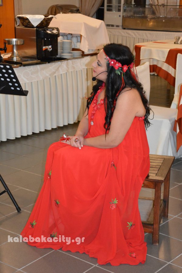 vivlioparousiasi 068