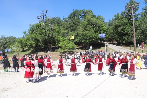 vlaxavia 2017IMG 0875