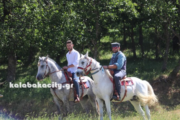 vlaxavia 2017IMG 0916