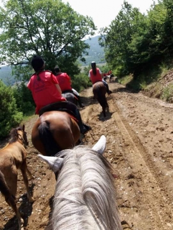 19398142 1217821658346705 627407887 n