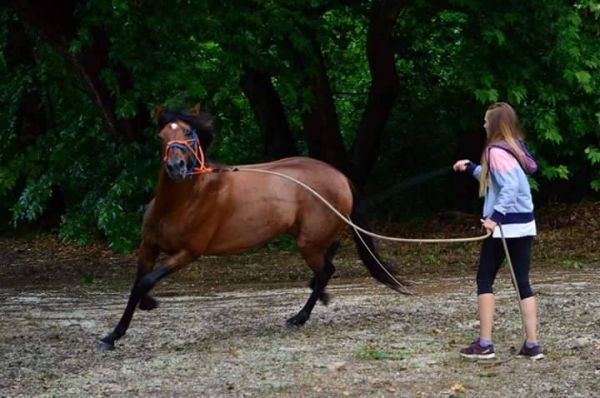 19398915 1217835448345326 126370070 n