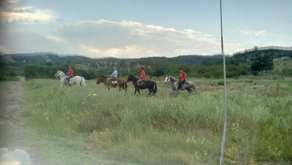 19400692 1217828498346021 701175104 o