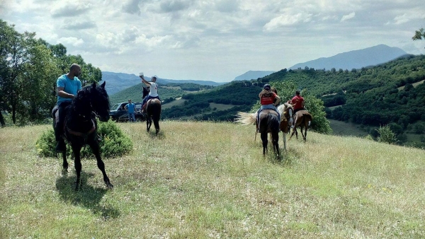 19401059 1217829021679302 740357723 o