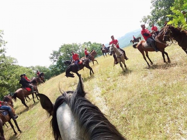 19433495 1217822155013322 336849953 n