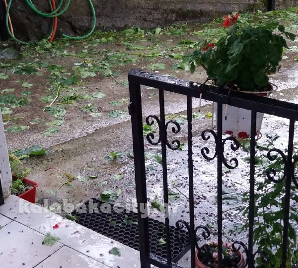 elafi kalabakas 19339916 1055380314599580 1957030557 o