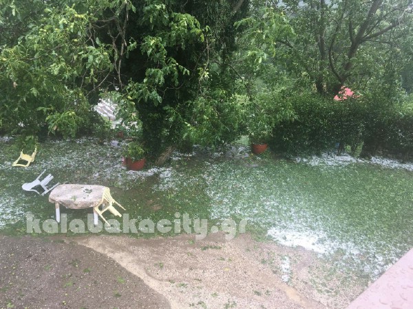 kaloneri 19238127 1588614391163209 8343550288824487021 o